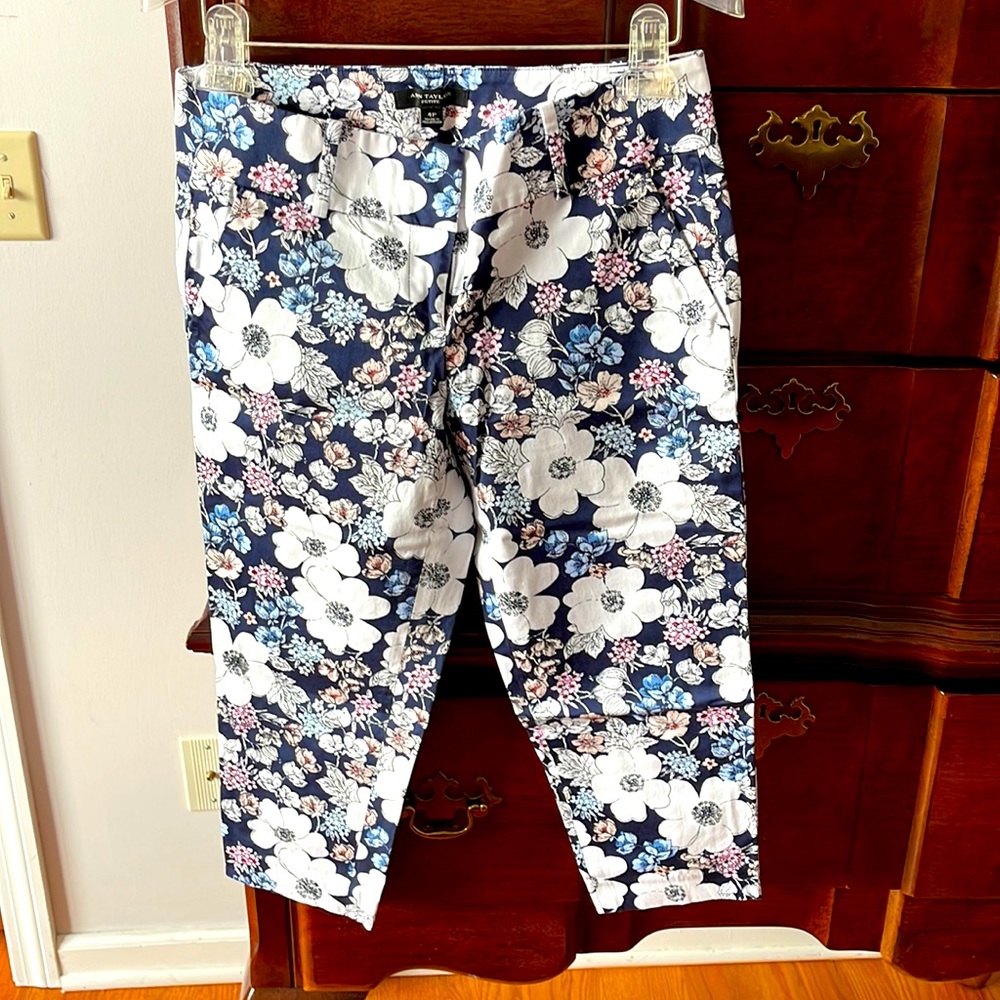 Ann Taylor 4P